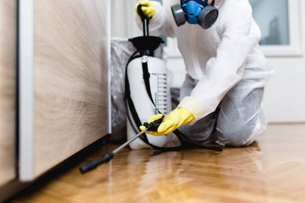Best Ant Control Services  in Simonton Lake, IN