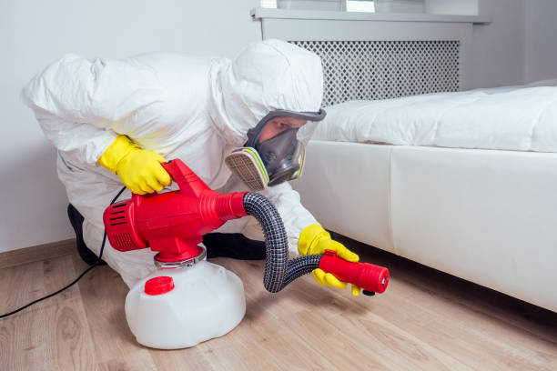 Flea Control Services in Simonton Lake, IN