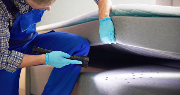 Best Pest Control Near Me  in Simonton Lake, IN