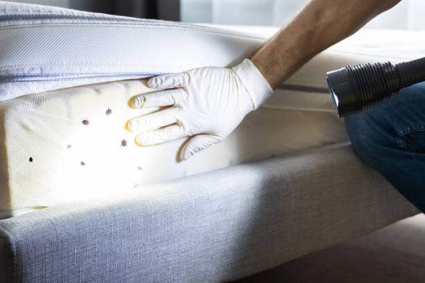 Best Bed Bug Extermination  in Simonton Lake, IN