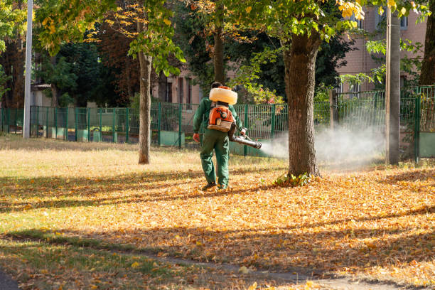 Best Best Pest Control Companies  in Simonton Lake, IN
