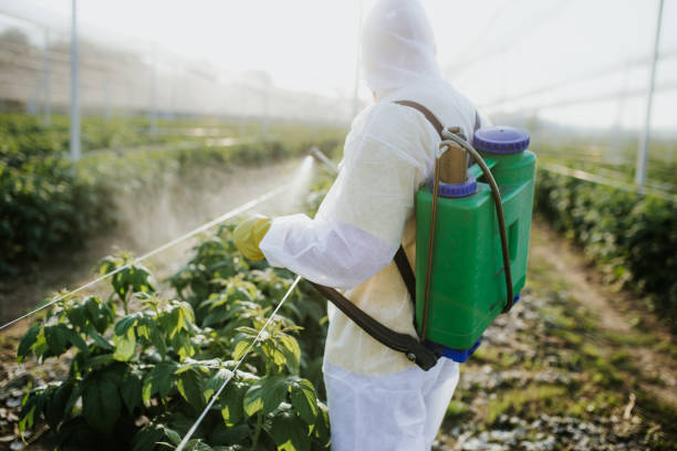 Best Insect Control  in Simonton Lake, IN